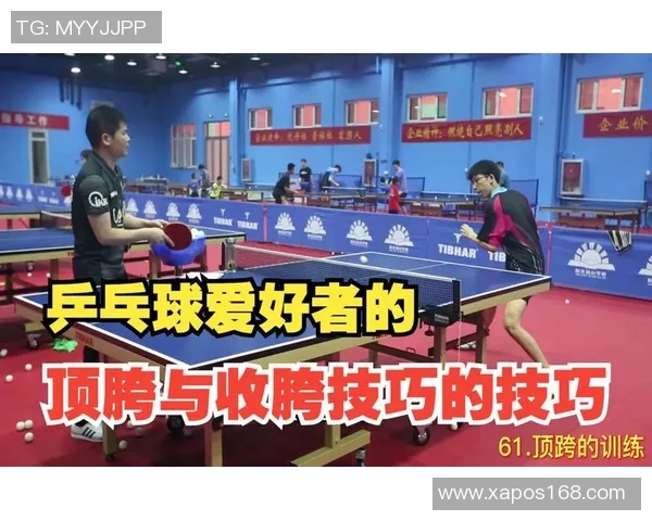 乒乓球新手必看：快速掌握技巧与战术的全面入门指南